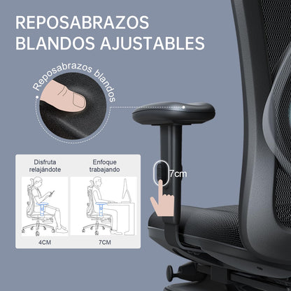 SIHOO Silla de Escritorio Ergonómica Reclinable para Oficina con reposapiés, Silla para Computadora con Respaldo Alto y reposabrazos Ajustable, Malla cómoda y Ruedas Lisas (Negro)